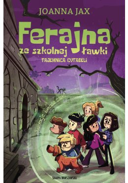 Ferajna ze szkolnej ławki. Tajemnica cytadeli